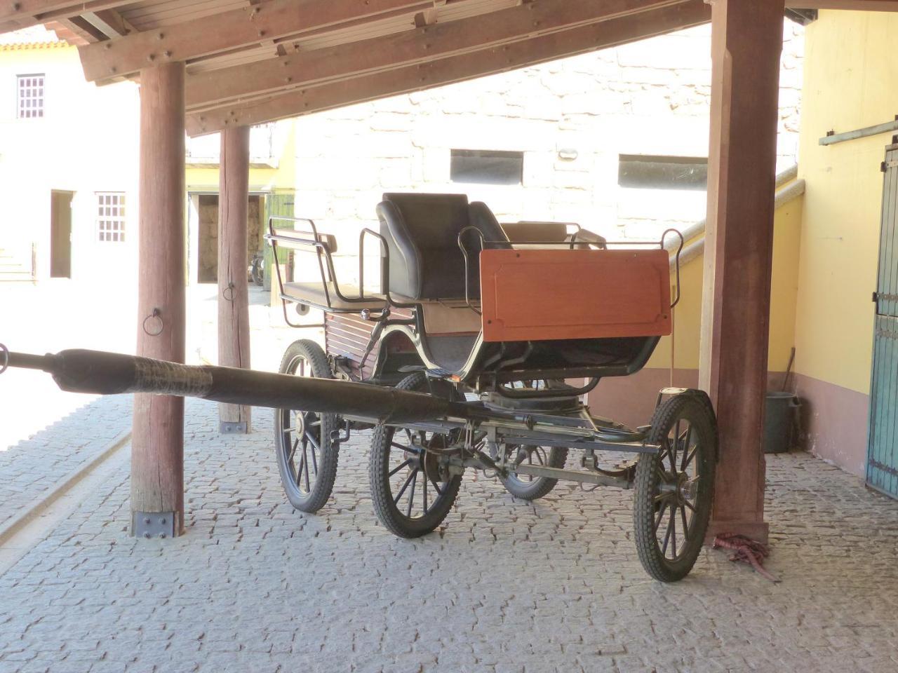 Casa Das Castas Wine Guesthouse Vermiosa Ngoại thất bức ảnh